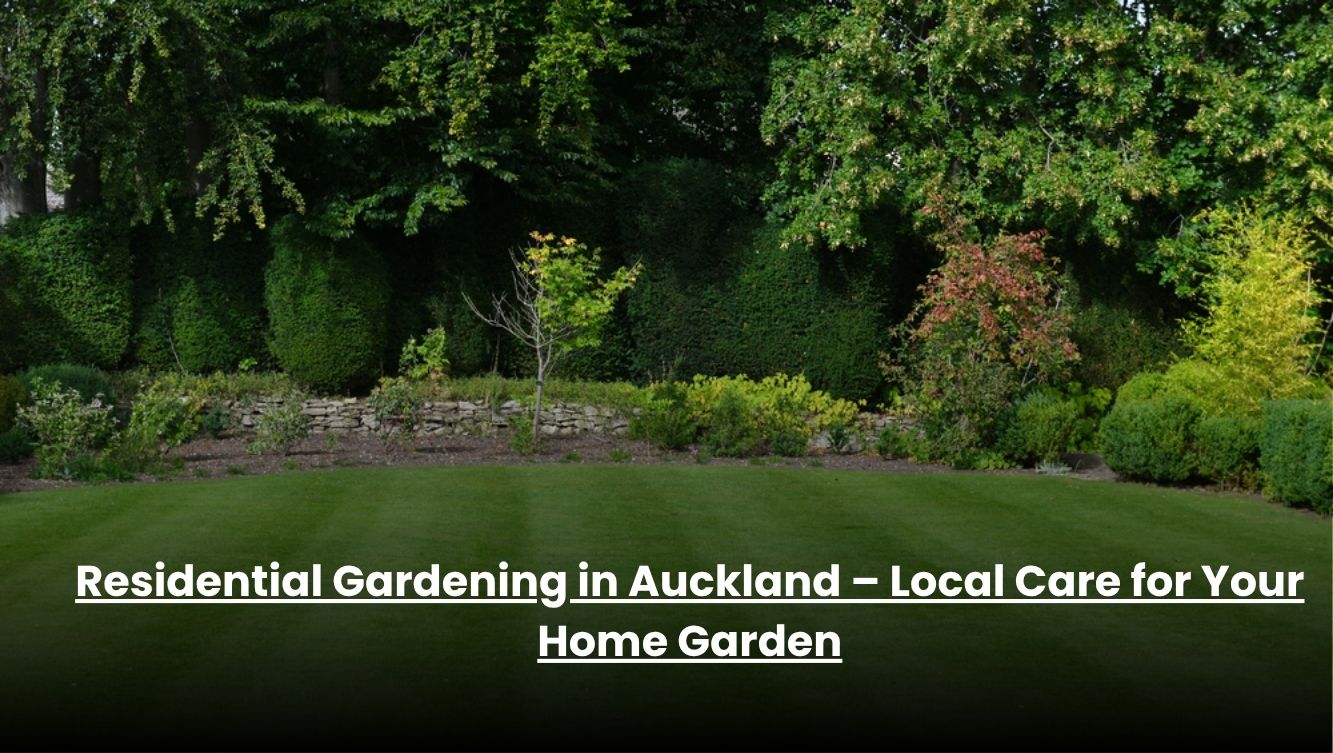 Expert residential gardening services in Auckland for your home garden.