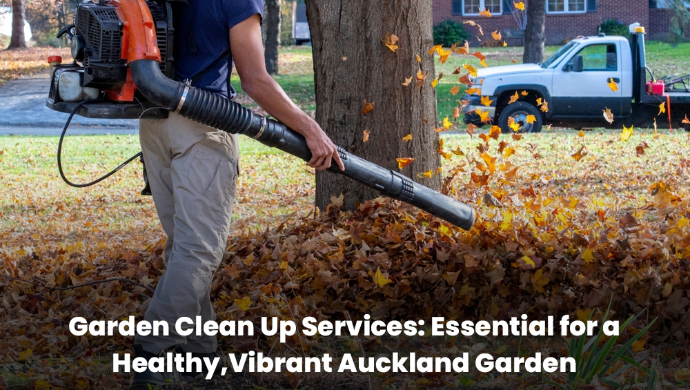 Professional garden clean up services in Auckland including leaf removal, pruning, and green waste disposal