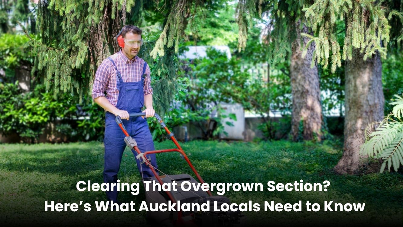 Overgrown section being cleared by professionals in Auckland