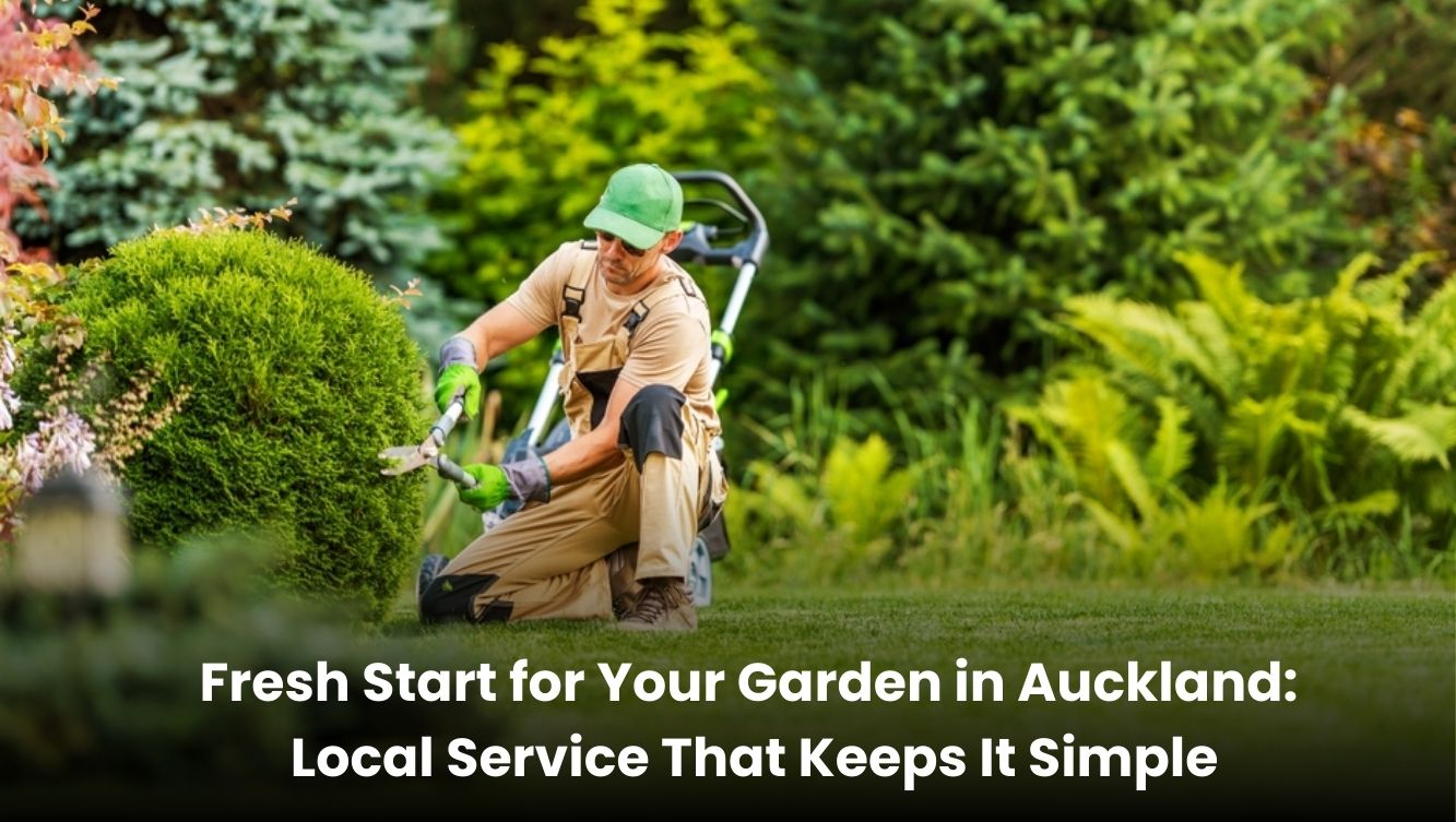 Garden care service in Auckland for a fresh and simple start