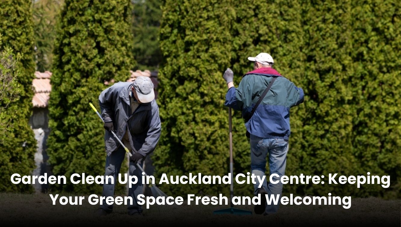 Garden clean up service in Auckland City Centre with tidy lawns and trimmed plants.