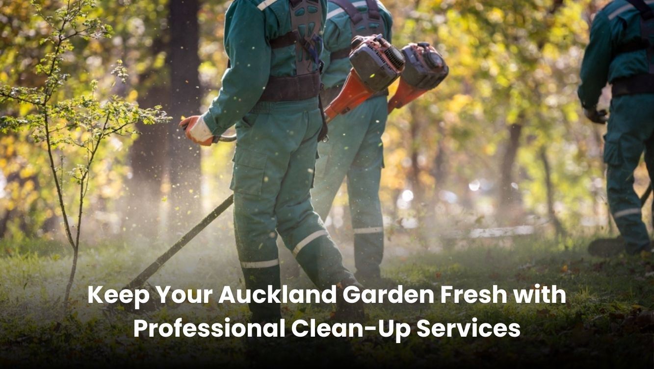 Professional gardener cleaning and maintaining a lush Auckland garden