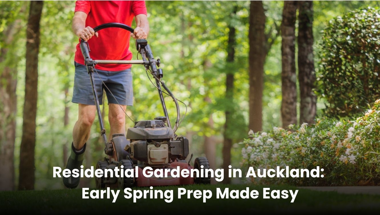 Home gardening tips in Auckland for early spring preparation