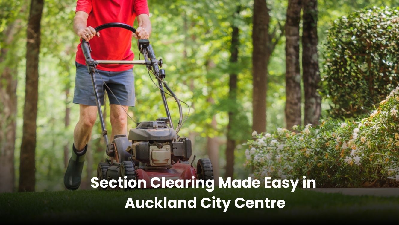 Section clearing services in Auckland City Centre