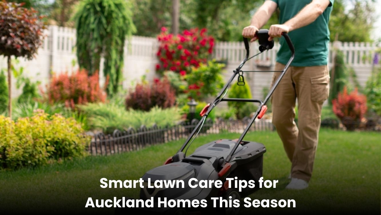 Smart lawn care tips for healthy and green lawns in Auckland homes