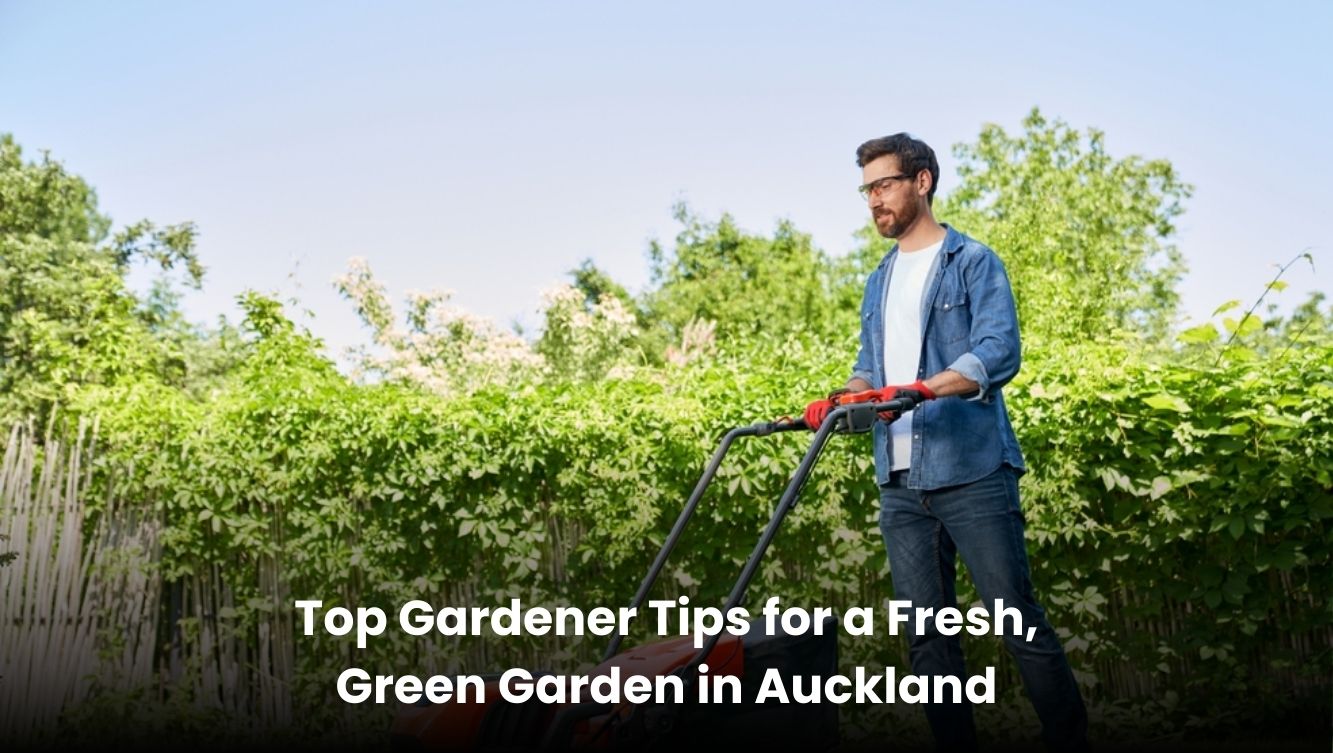 Gardener planting fresh green plants in a vibrant Auckland garden