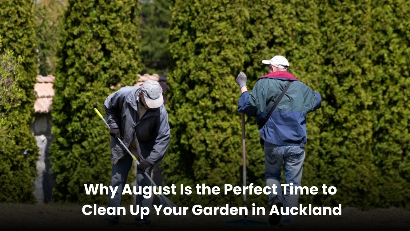 Garden cleanup in Auckland during August with trimmed plants and clear pathways