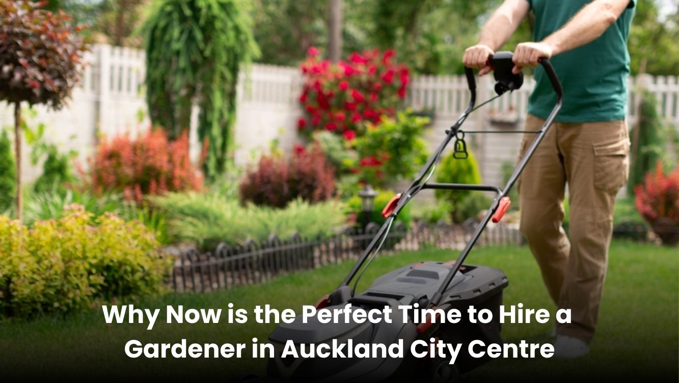 Professional gardener maintaining a lush garden in Auckland City Centre.