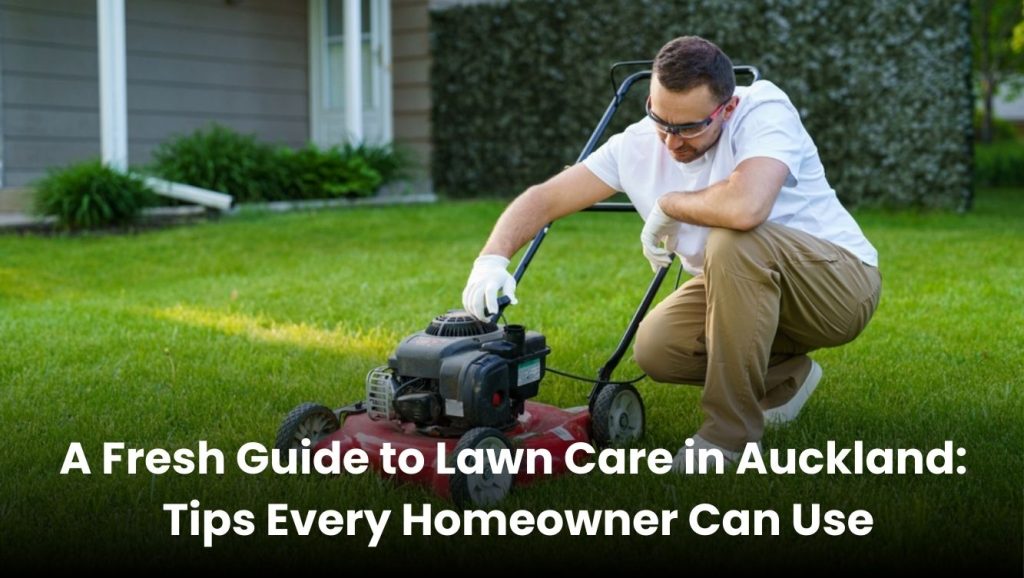 Lawn care in Auckland with a well-maintained green yard in front of a home.