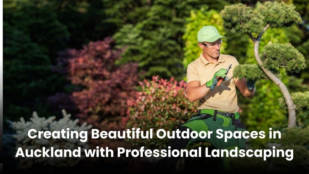 Beautifully designed outdoor living space in Auckland with professional landscaping.