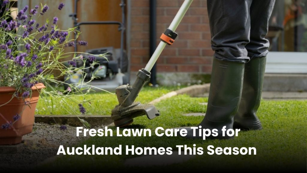 Healthy green lawn in front of an Auckland home with seasonal care