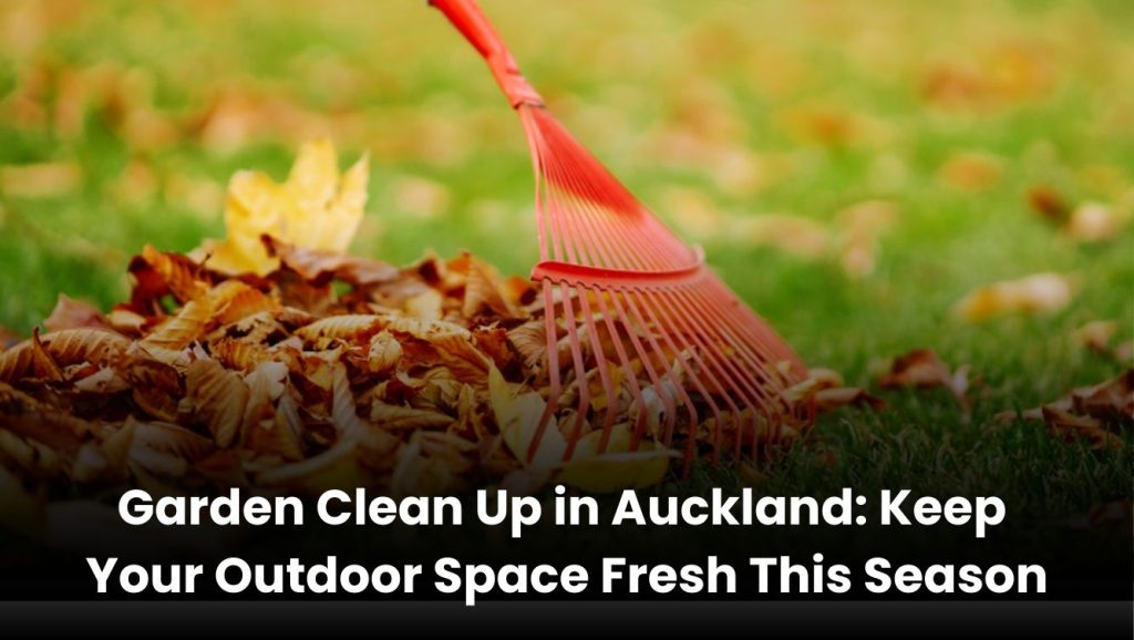 Professional garden clean up in Auckland with trimmed hedges, mowed lawn, and cleared leaves