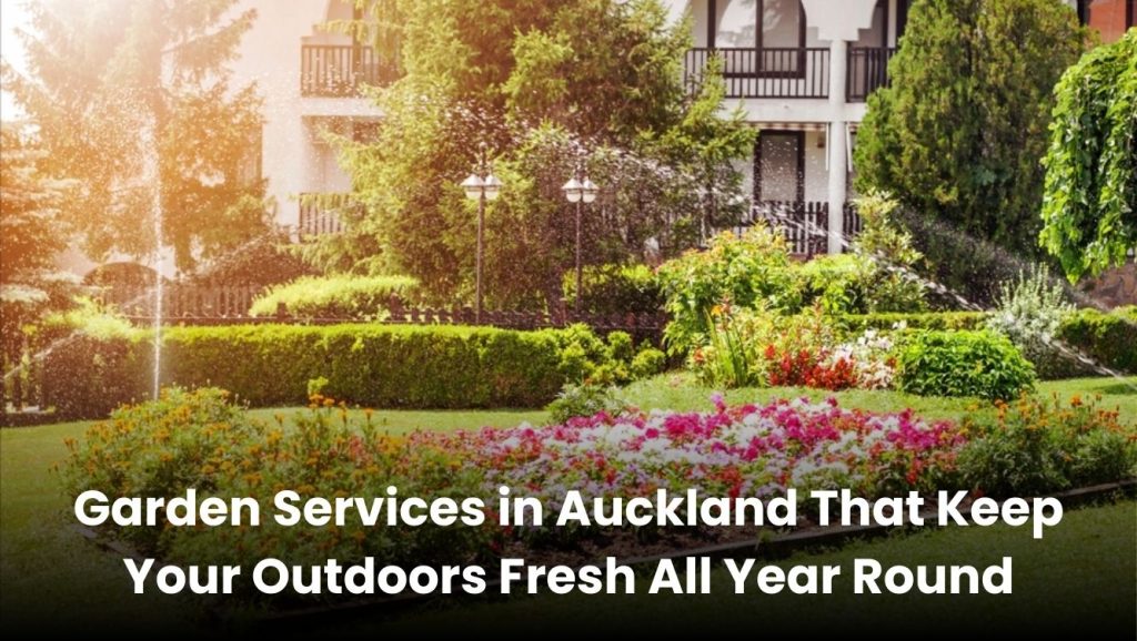 Garden services in Auckland keeping lawns, plants, and outdoor spaces fresh and well-maintained all year.