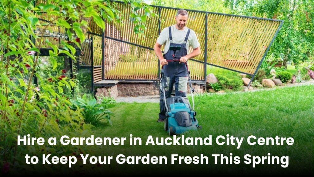 Professional gardener maintaining a fresh garden in Auckland City Centre during spring