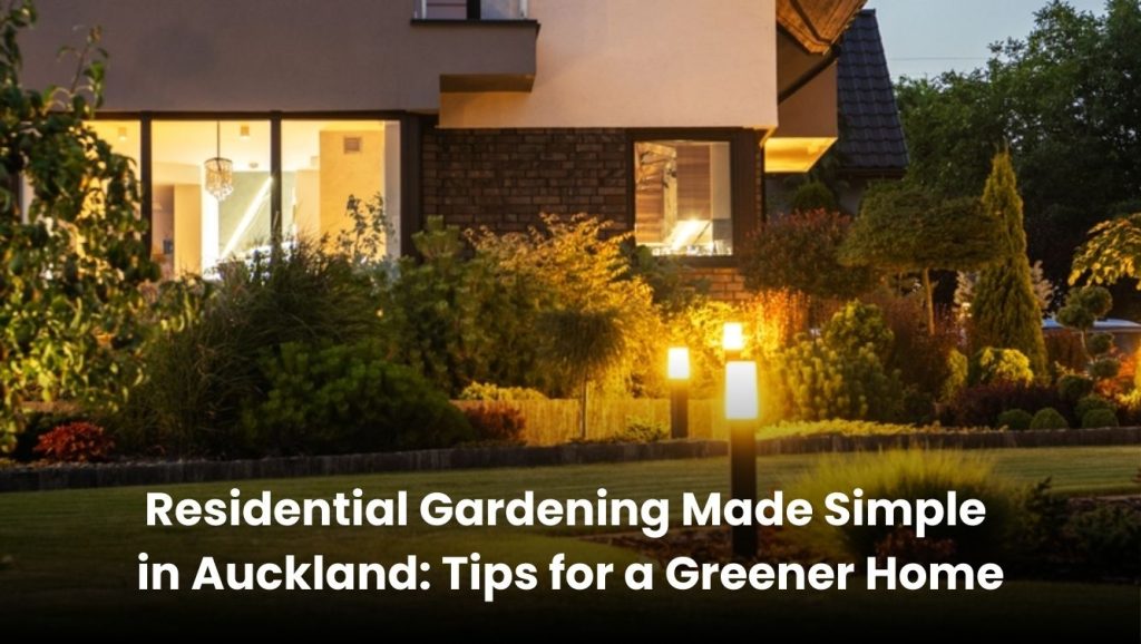 Residential garden in Auckland with lush greenery, flowers, and sustainable landscaping design