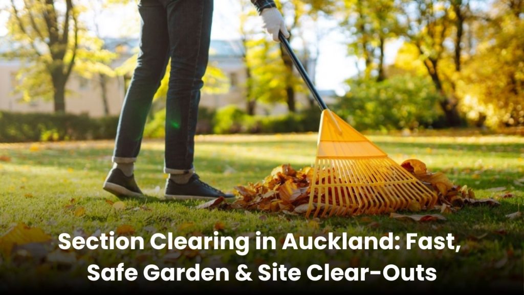 Garden and site clearing services in Auckland – fast and safe section clearing