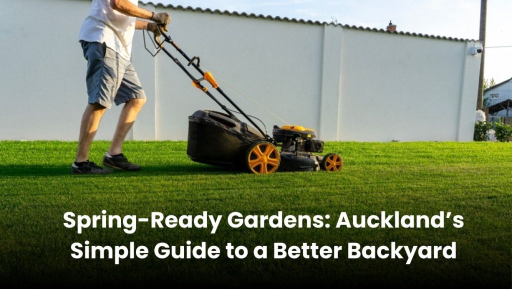 A vibrant Auckland backyard garden with blooming flowers and well-maintained lawn ready for spring