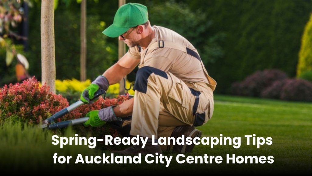 Spring landscaping tips for Auckland City Centre homes with fresh garden design and lawn care.