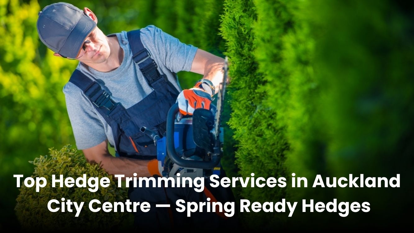 Professional hedge trimming services in Auckland City Centre for neat and spring-ready gardens