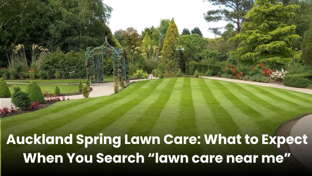 Spring lawn care in Auckland with expert gardening services near you