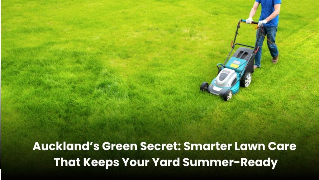 Professional lawn care in Auckland for a greener, summer-ready yard