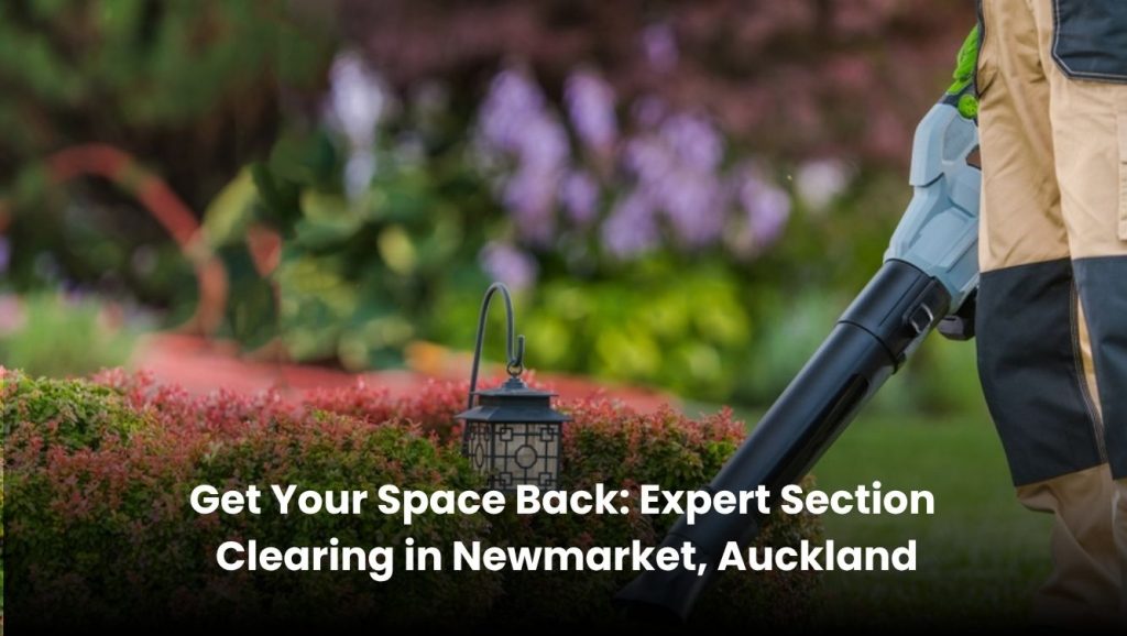 Professional section clearing service in Newmarket, Auckland removing trees, bushes, and debris for a clean space