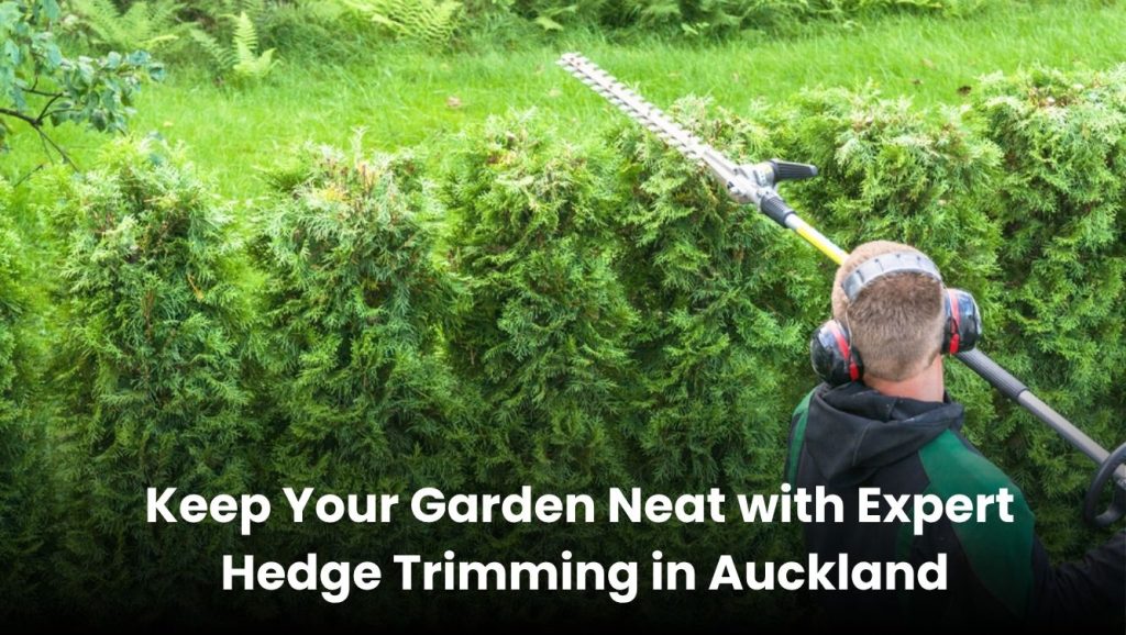 Expert hedge trimming service in Auckland for a tidy garden look.