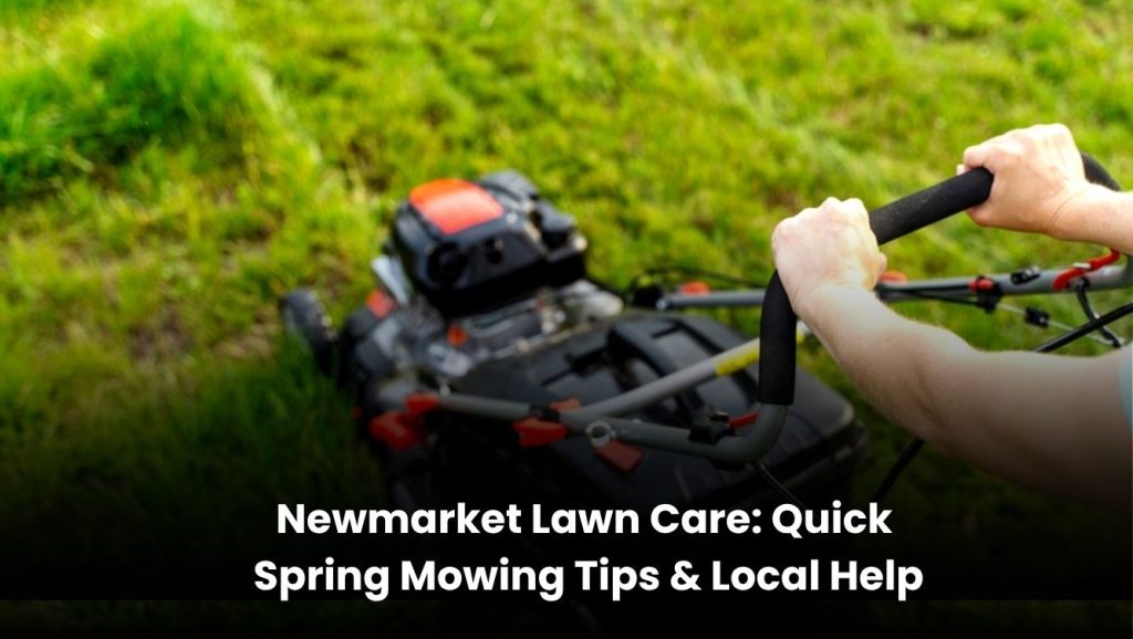 “Spring lawn mowing in Newmarket with green healthy grass”