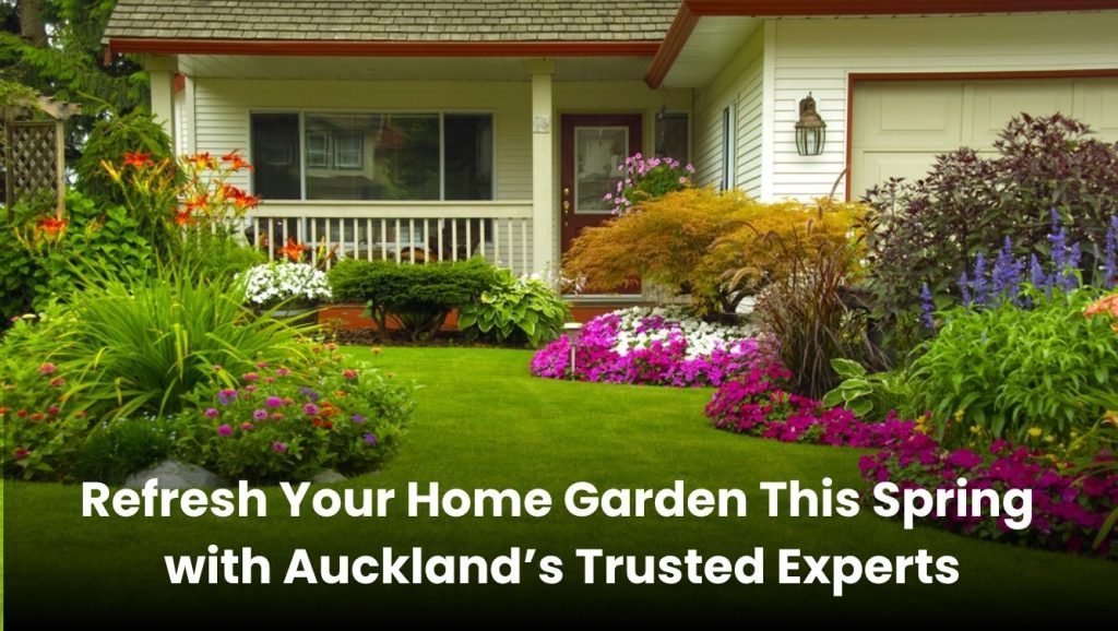 Spring garden makeover by trusted Auckland gardening experts