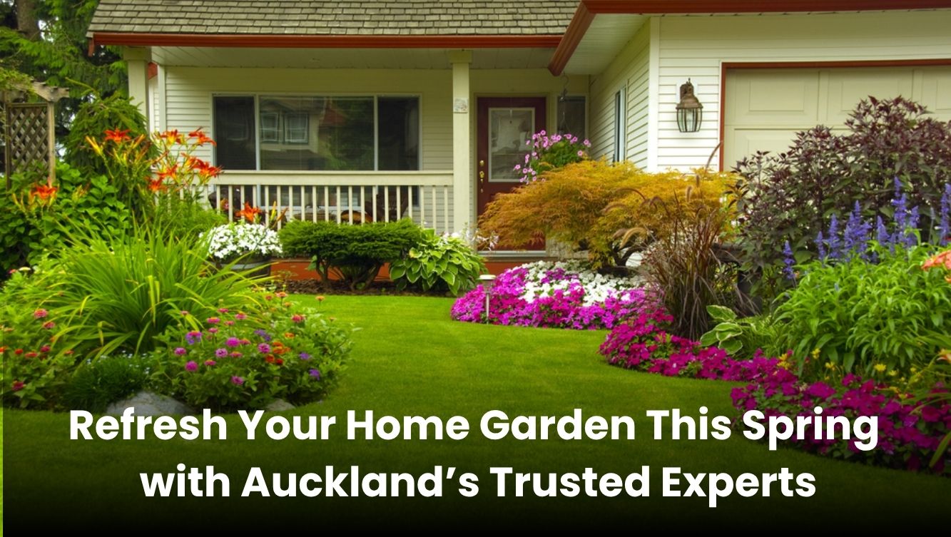 Spring garden makeover by trusted Auckland gardening experts