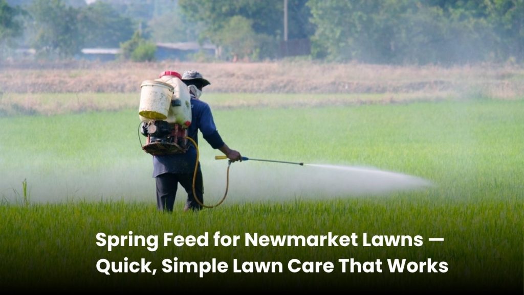 Spring lawn feed treatment for lush green lawns in Newmarket