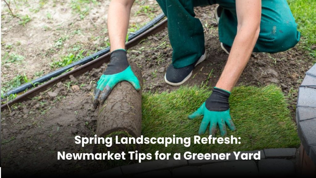A vibrant, freshly landscaped backyard in Newmarket with green lawns and colorful spring flowers