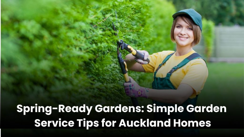 Spring-ready Auckland garden with healthy lawn and blooming plants