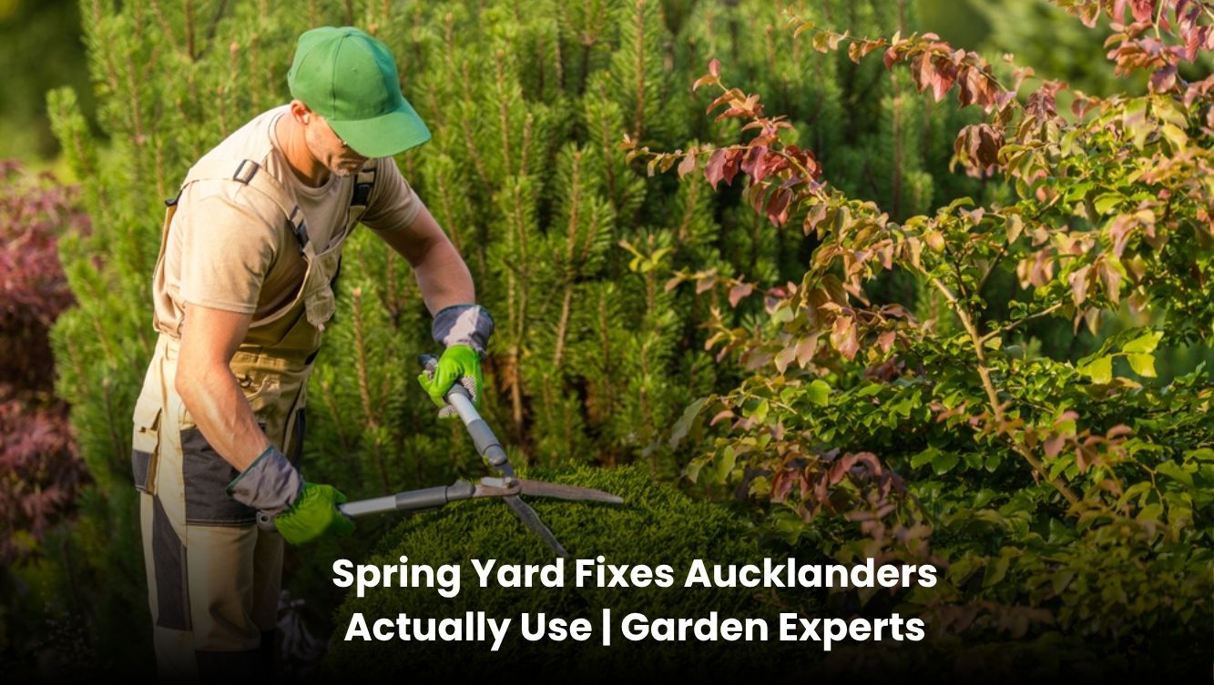 Auckland spring yard cleanup and garden maintenance by Garden Experts