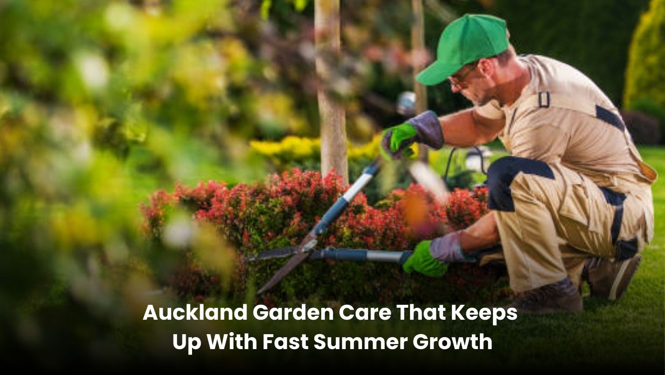 Auckland garden maintained during summer with freshly mowed lawn, trimmed hedges, and healthy green plants.