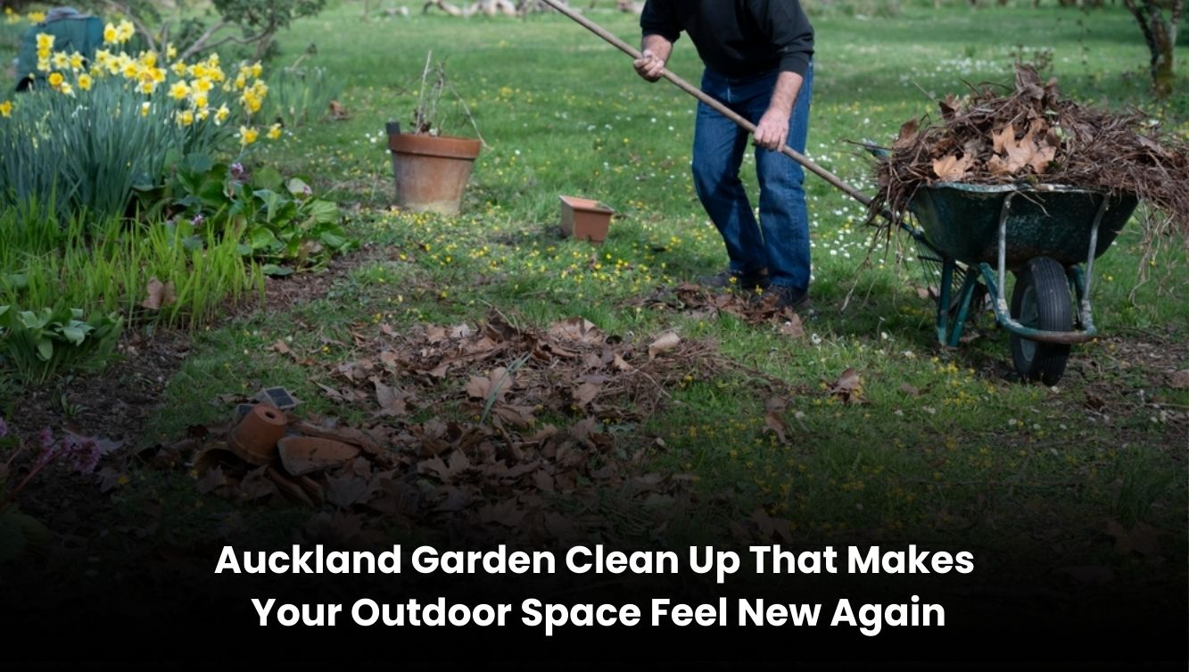 Professional garden clean up service in Auckland clearing overgrown plants and garden waste