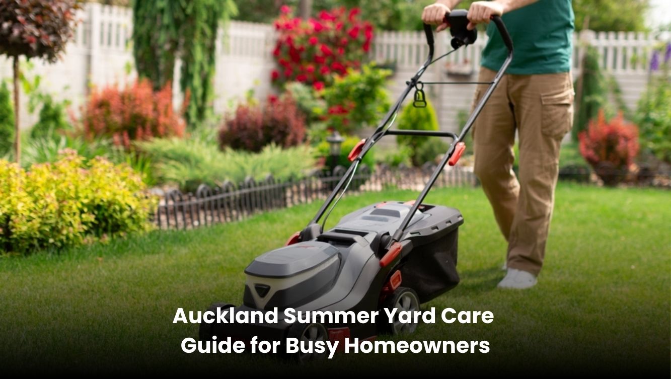 Auckland summer yard with green lawn and tidy garden beds