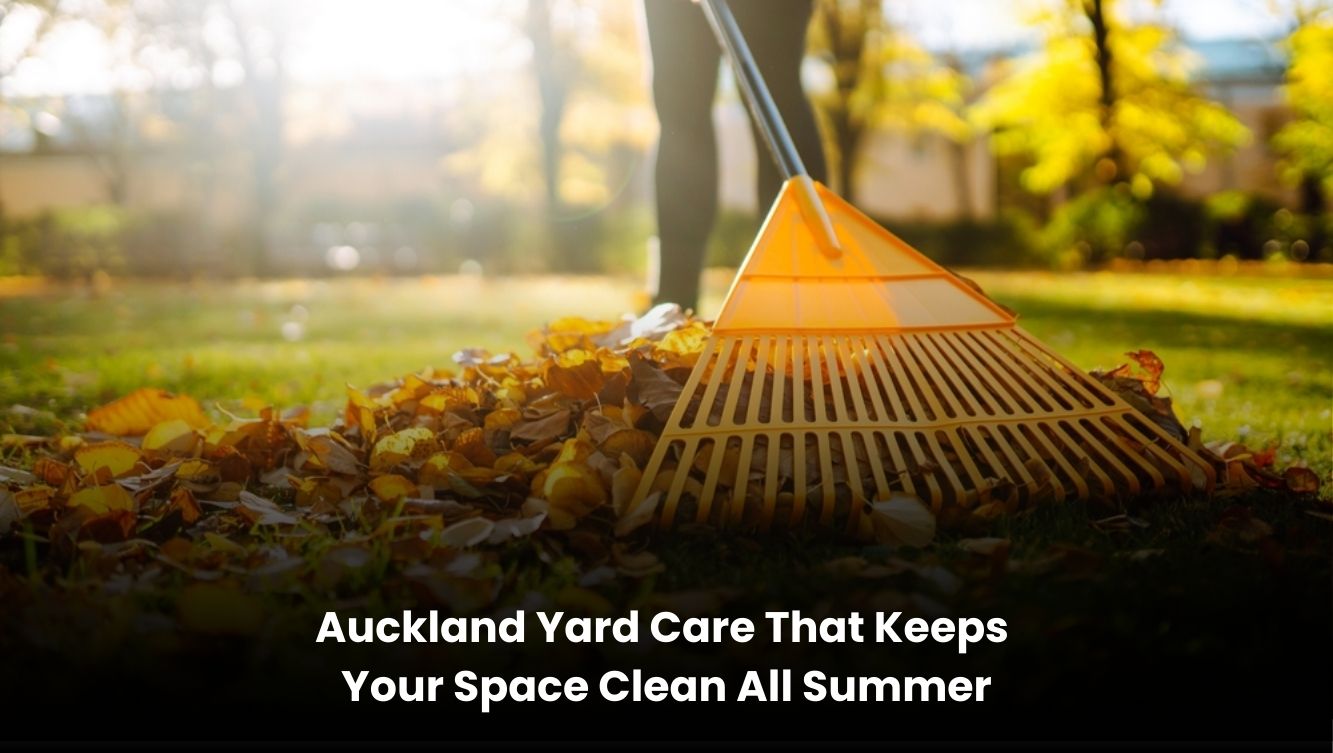 Auckland yard neatly maintained with green grass and trimmed plants during summer