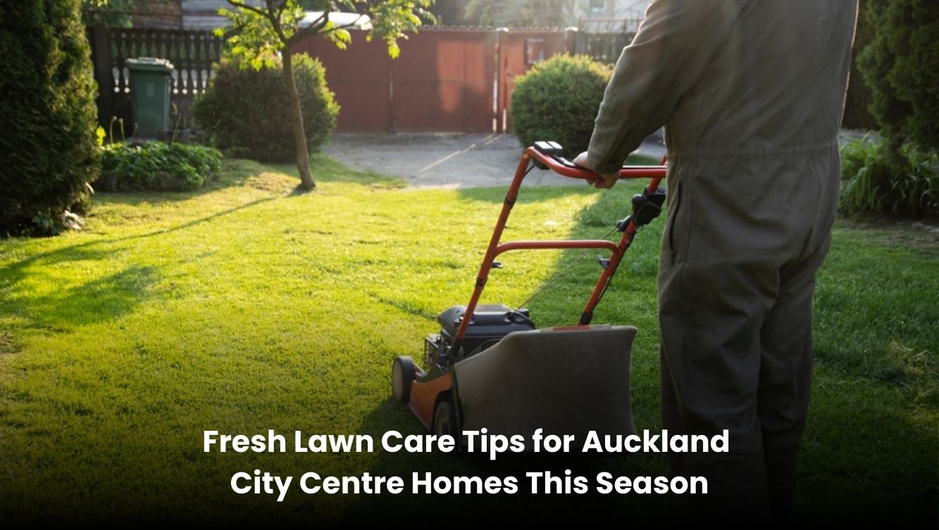 Fresh lawn care tips for Auckland City Centre homes this season