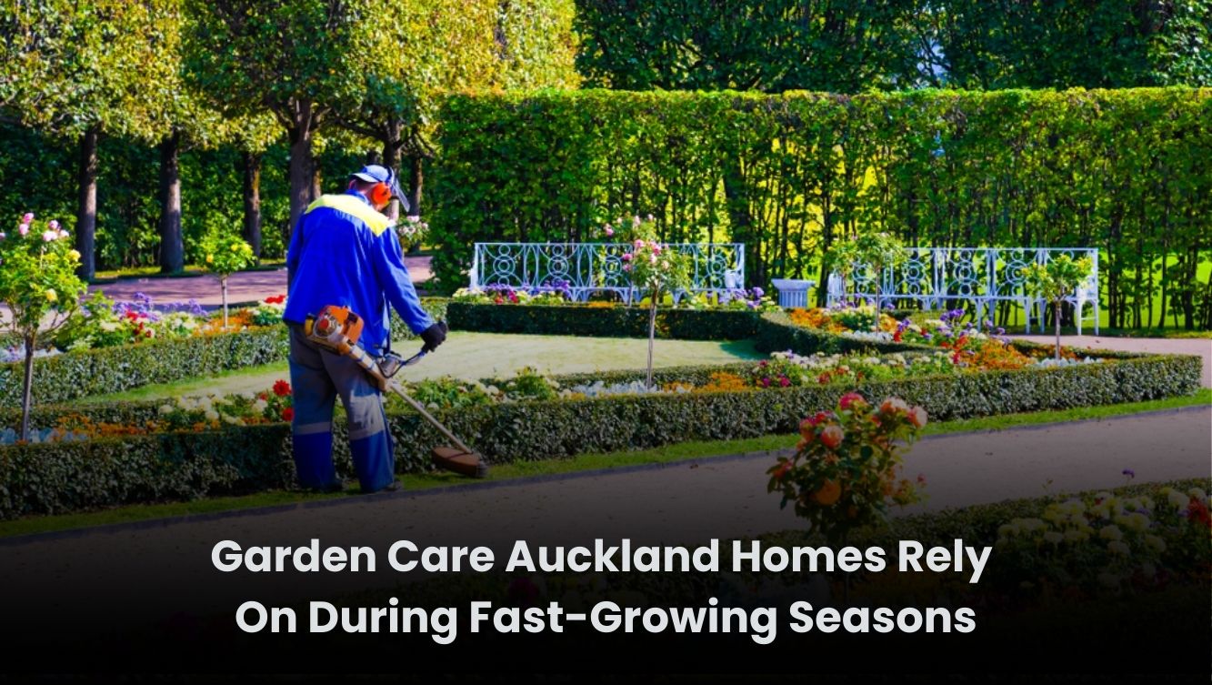 Professional garden care service in Auckland maintaining lawns and hedges during fast-growing season