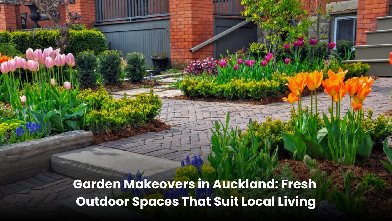 Garden makeover in Auckland with fresh lawn, plants, and clean outdoor layout