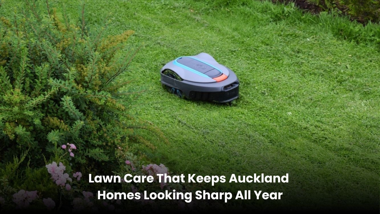 Well-maintained green lawn at an Auckland home with clean edges and healthy grass all year round