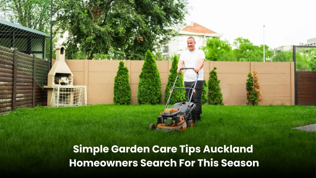 Beautifully maintained garden in an Auckland home with green plants and clean yard