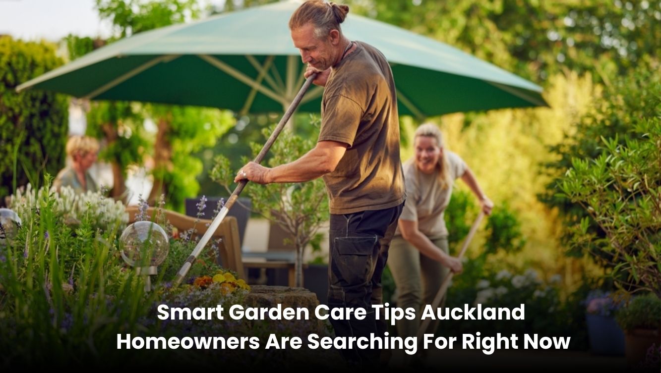 Smart garden care in Auckland with clean lawn and neat hedges