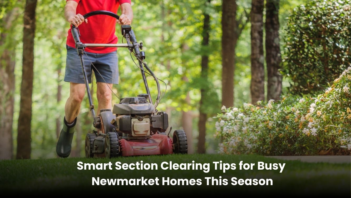 Section clearing in Newmarket home garden with clean and tidy outdoor space