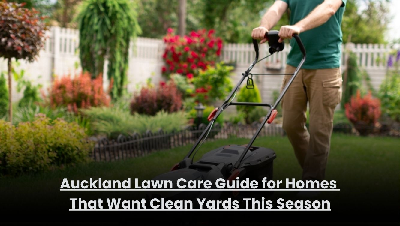 Clean and well-maintained residential lawn in Auckland during the seasonal lawn care period