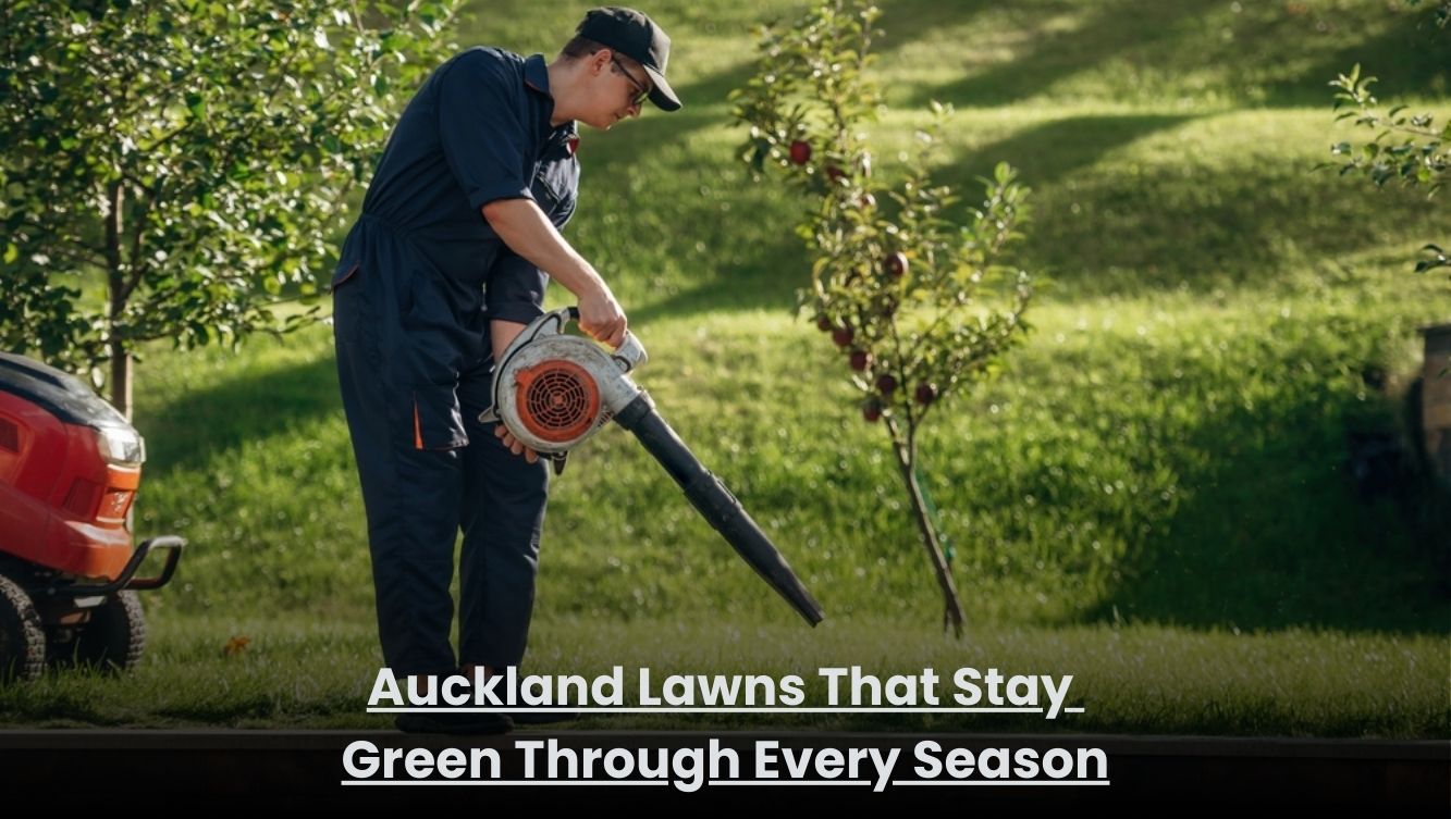 Healthy green lawn in Auckland maintained through all seasons with professional lawn care