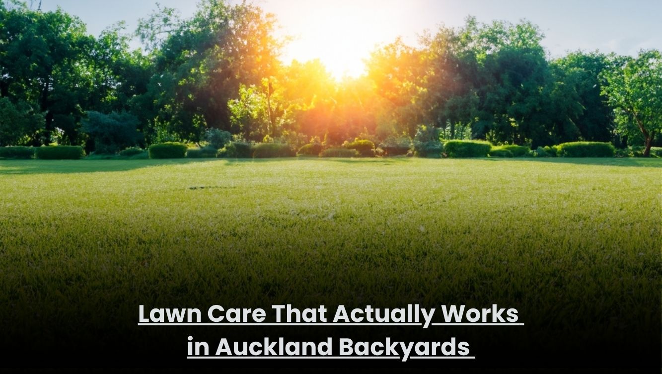 Well-maintained green lawn in an Auckland backyard after professional lawn care service