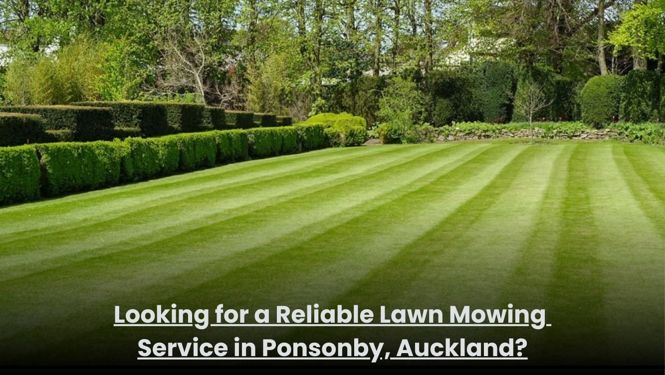 Lawn mowing service in Ponsonby Auckland with neatly trimmed green grass