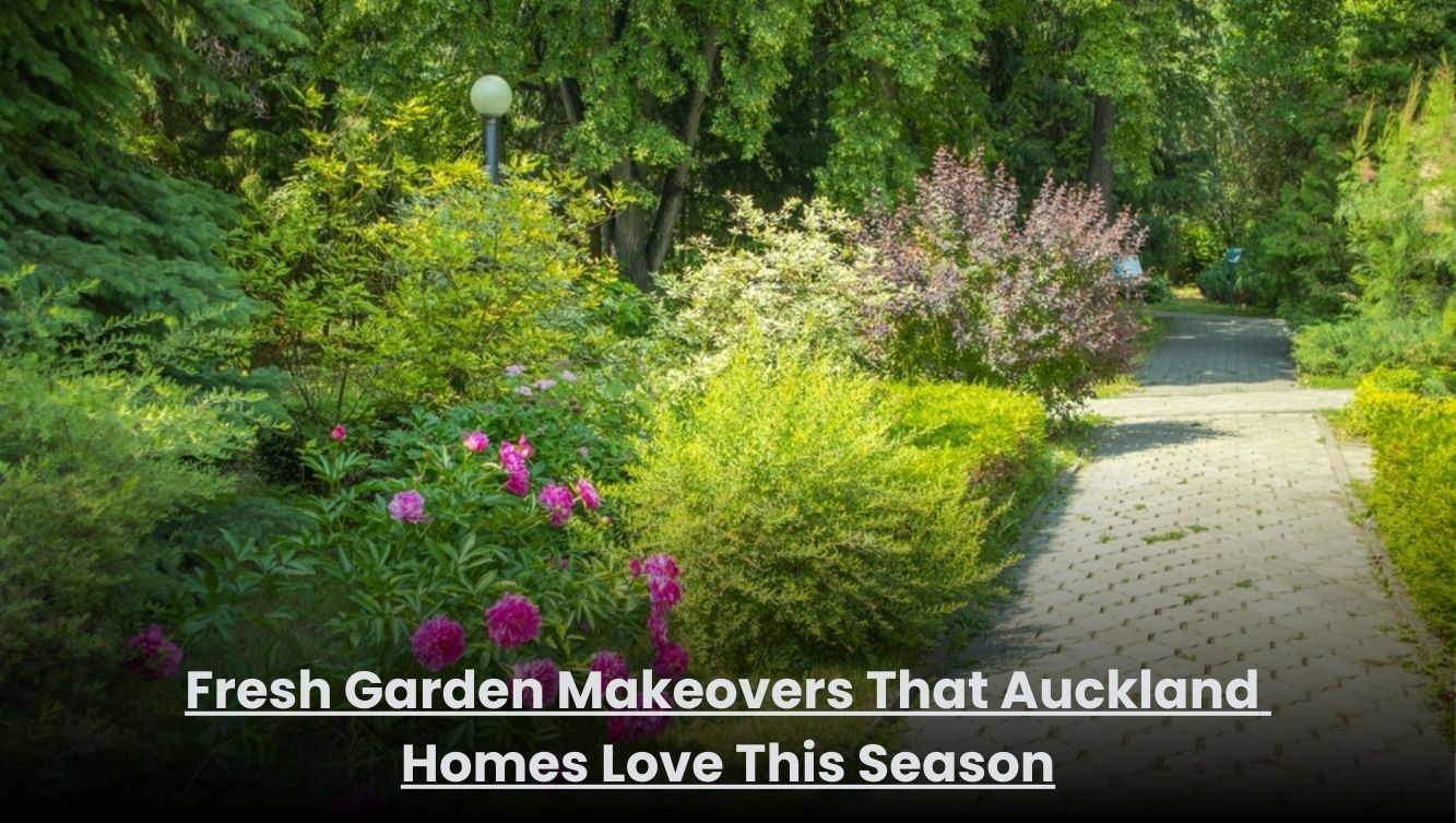 Fresh garden makeover with tidy lawn and plants at an Auckland home